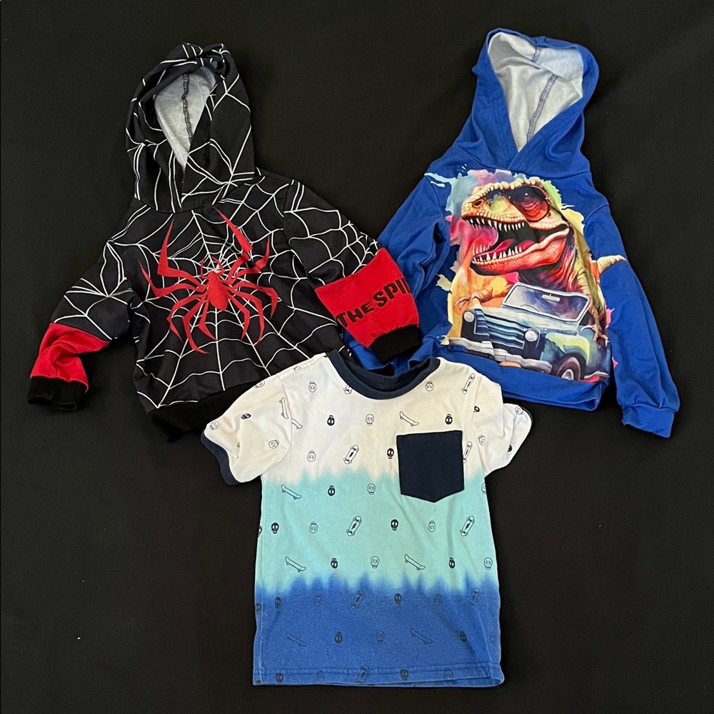 Spider Web and Dinosaur Kids Hoodie Set - Boys 4T